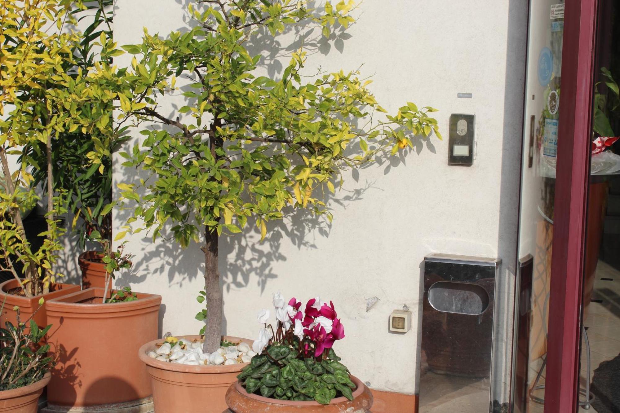 Arcangelo Roof Hotel Rimini Zewnętrze zdjęcie